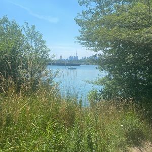 Meet your Posher, Sal